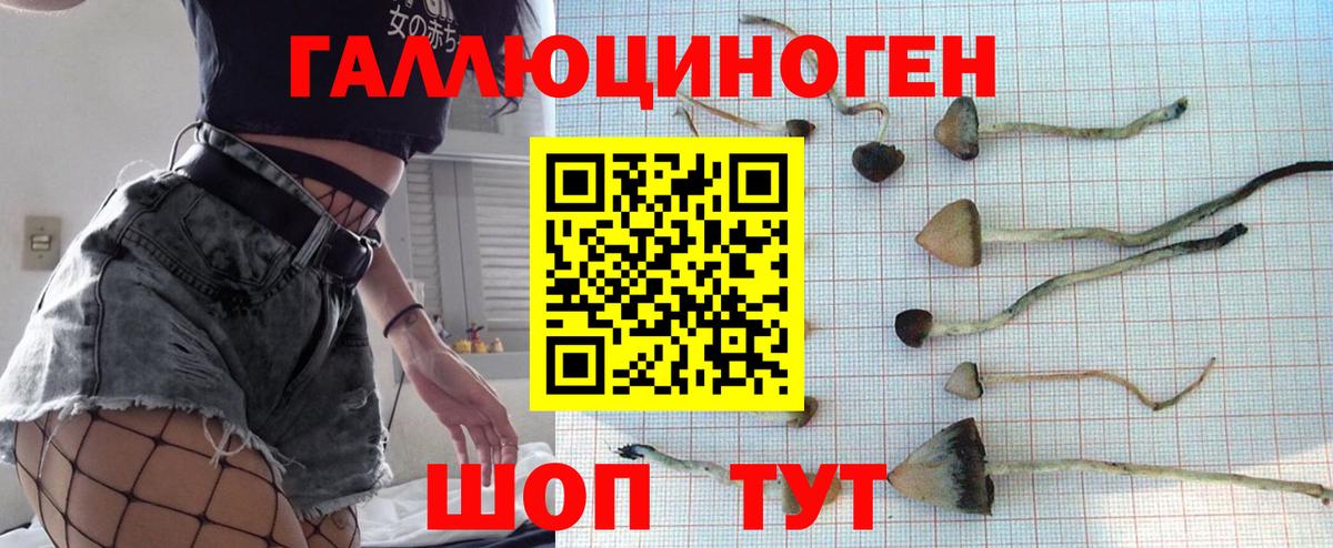 Псилоцибиновые грибы Cubensis Похвистнево