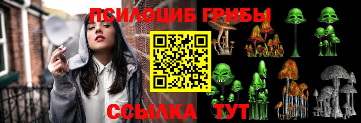 Похвистнево  Галлюциногенные грибы мицелий  Вход с VPN  Псилоцибиновые грибы ЛСД 